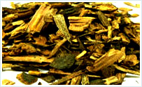 Sarsaparilla